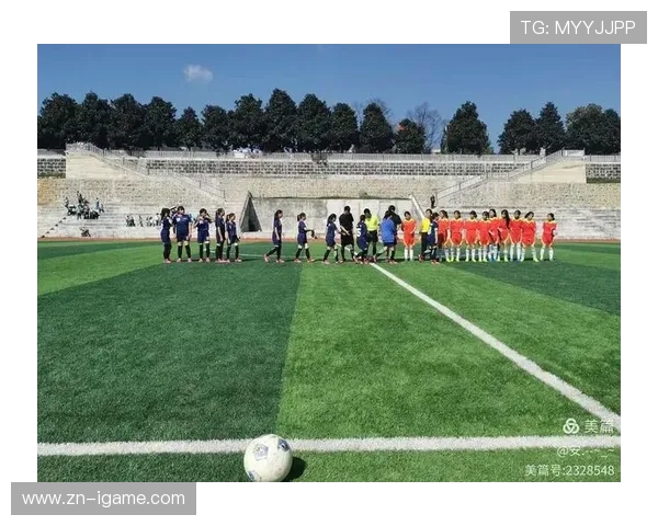 绿茵逐梦青春激荡世界足坛荣耀与激情的完美交织