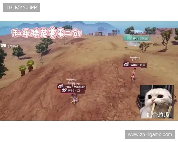 和平精英热议RNG战术争议引发玩家热烈讨论与反思