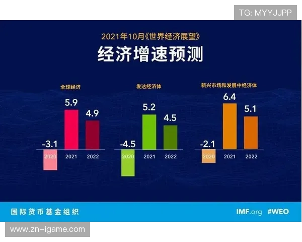 深圳篮球队的转型之路与未来发展展望解析