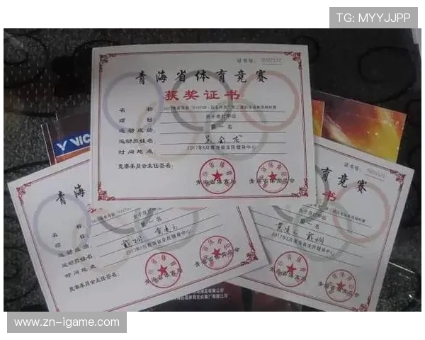 西安羽毛球队在杯赛中的技术表现分析与亮点总结