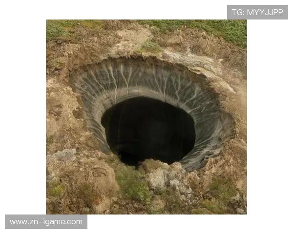 亚马尔地区的能源战略与全球气候变化的互动关系探讨 亚马尔地区的能源战略与全球气候变化的互动关系探讨